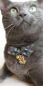 PetSoKoo Cute Bowtie Cat Collar with Bell. Japanese Stylish Bowknot & Fish Charm. Safety Breakaway, Soft, Lightweight, for Girl Boy Male Female Cats Kitten,Green