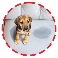 Remover Spray – 4oz Laundry Stain Remover for Clothes, Upholstery Fabric, Carpet - Works on Most Blood, Grass, Coffee, Mud, Grease & Oil