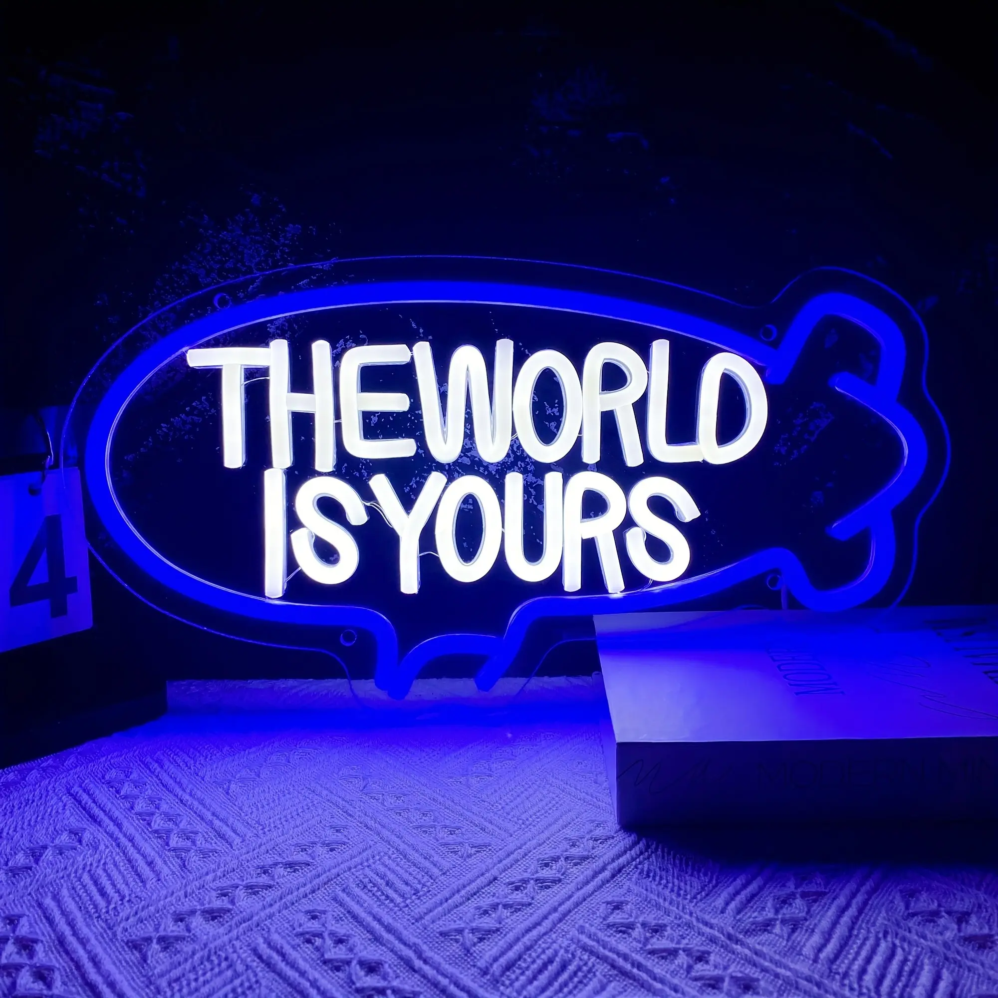 The World Is Your Neon Light, Airship LED Neon Light Suitable For Bedroom, Bar, Game Room, Wedding, Birthday Party Gift
