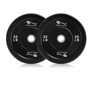 2 Pcs Durable Rubber Bumper Weight Plates Set – 2-Inch Steel Inserts – Global Fit Barbell Strength Training – Ideal for Home Gym Strength Training & Weightlifting