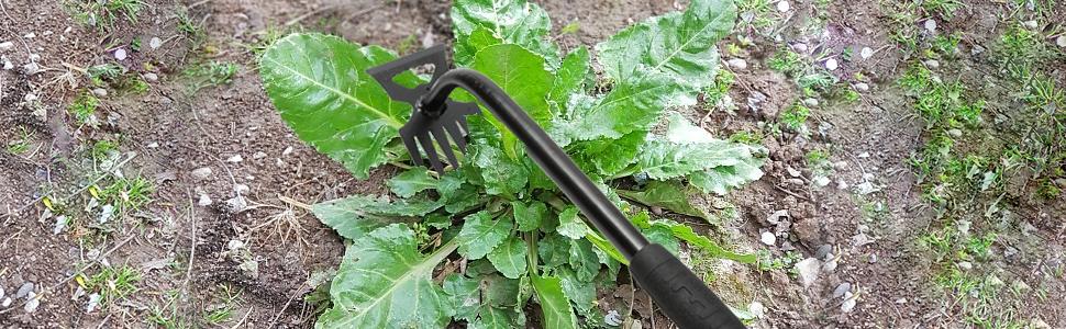 Hand Weeder Tools, 6 Teeth Uprooting Tool Multifunctional Manual Hand Weeder for Lawn, Crack Weeder Crevice Tool, 3 PCS