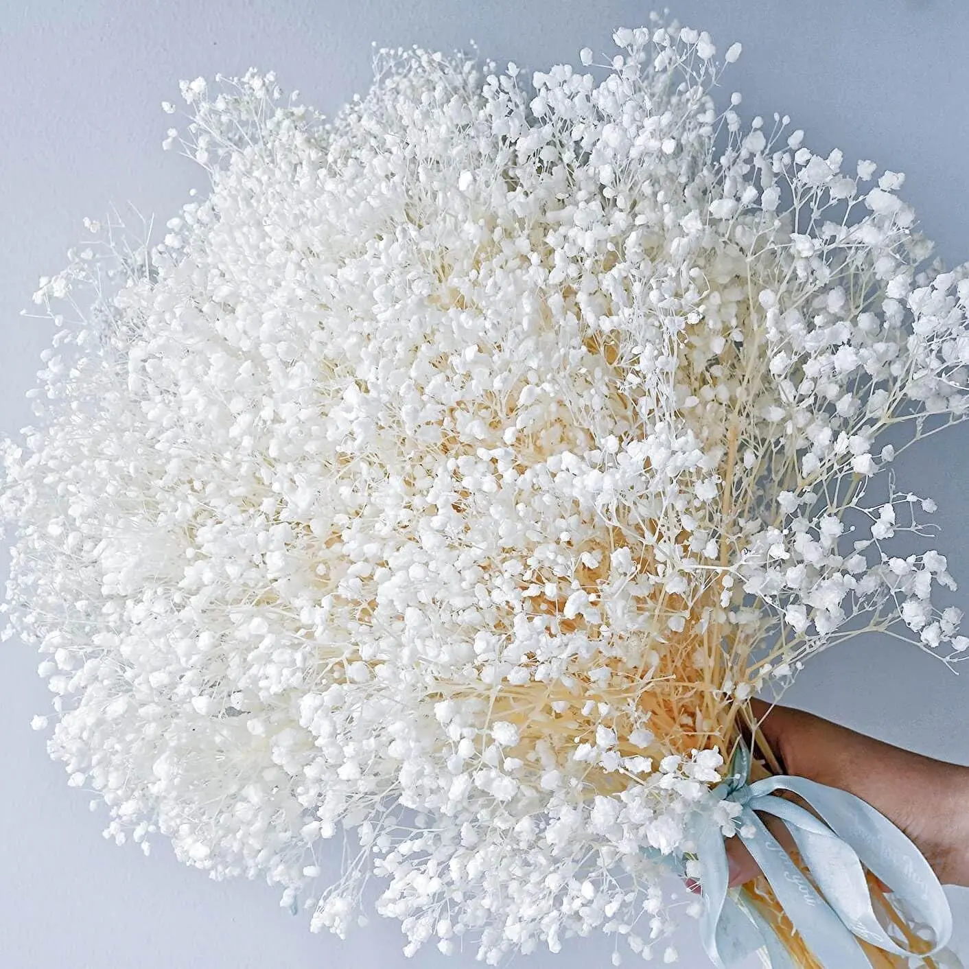 Dried Baby's Breath Flowers Bouquet - 3500+ Ivory White Dry Flowers Bulk, 17'' Real 100% Natural Gypsophila Branches for Wedding, DIY Home Party Table Vase Decor, Wreath Floral