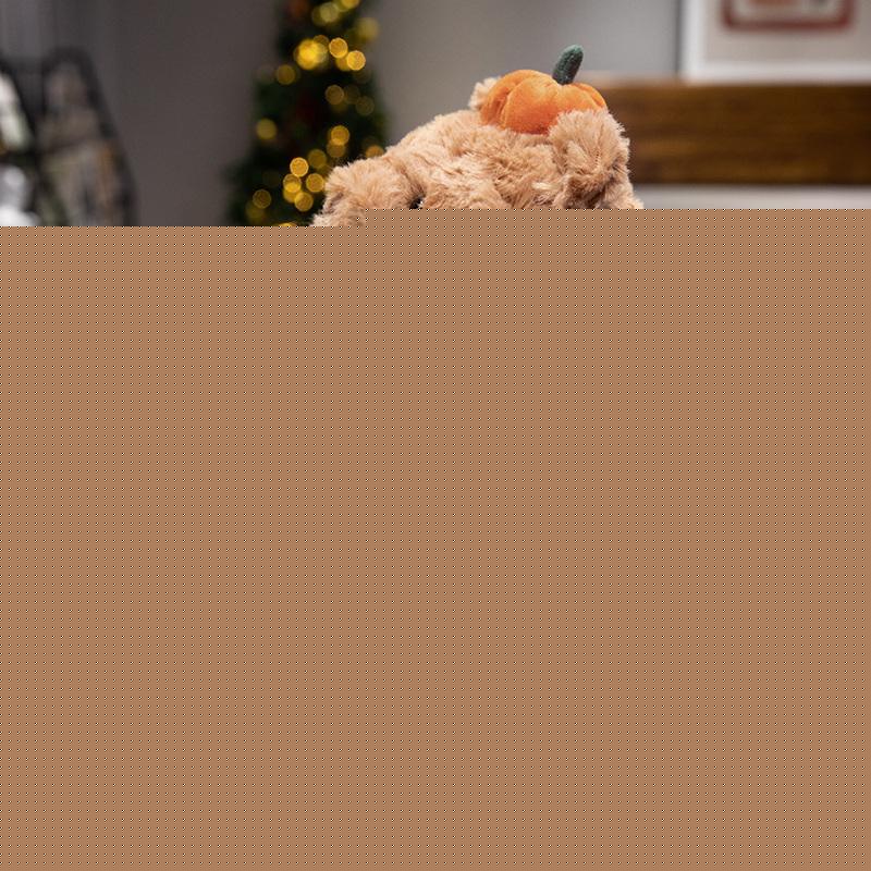 30cm Cute Creative Bear Pumpkin Wearing Suit Can Take Off Stuffed Lovely Bear Halloween Celebration Birthday Holiday Gift