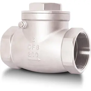 2" NPT DN50 Horizontal Check Valve, Stainless Steel Non Return Swing Check Valve, One Way Counterflow Valve to Prevent Medium Backflow for Oil Water Gas Air