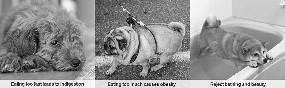 Licking Mat for Dogs & Cats 1 Pack with Suction Cups, Dog Lick Mat for Anxiety Relief, Dog Toys to Keep Them Busy, Peanut Butter Licking Pad for Boredom Reducer, Perfect for Bathing Grooming