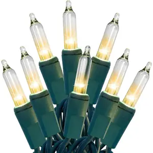 Christmas Lights 100 Count Clear Christmas Tree Lights String with Green Wire for Outdoor Indoor Christmas Decorations Wedding Decorations Valentines Day Decor,UL Certified (21feet)fidget toys