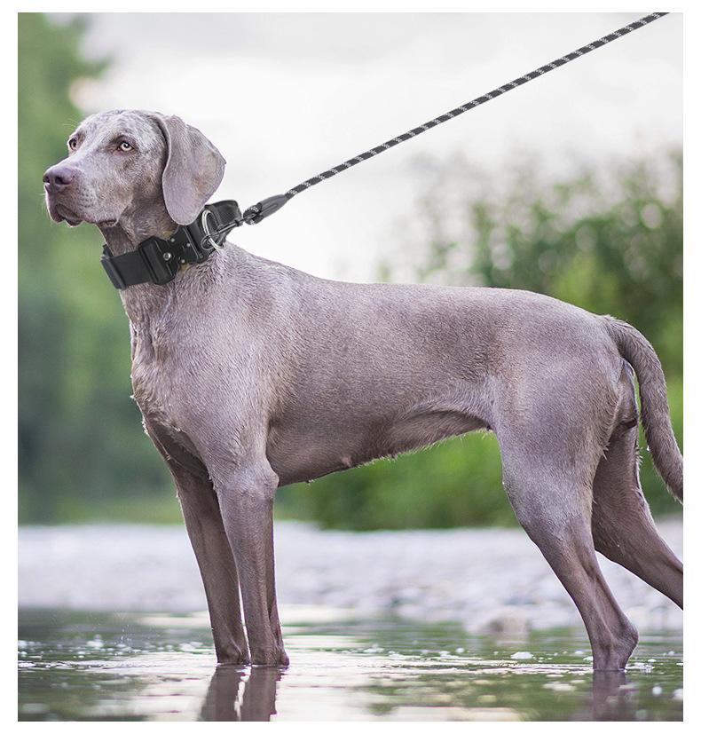 Premium Heavy-Duty Nylon Dog Collar - Extra Wide, Padded, with Stainless Steel Buckle Adjustable Pet Collar, Durable Dog Collar for Medium Large Dogs Cats for Outings, Dog Supplies, Pets Supplies, Christmas Gift