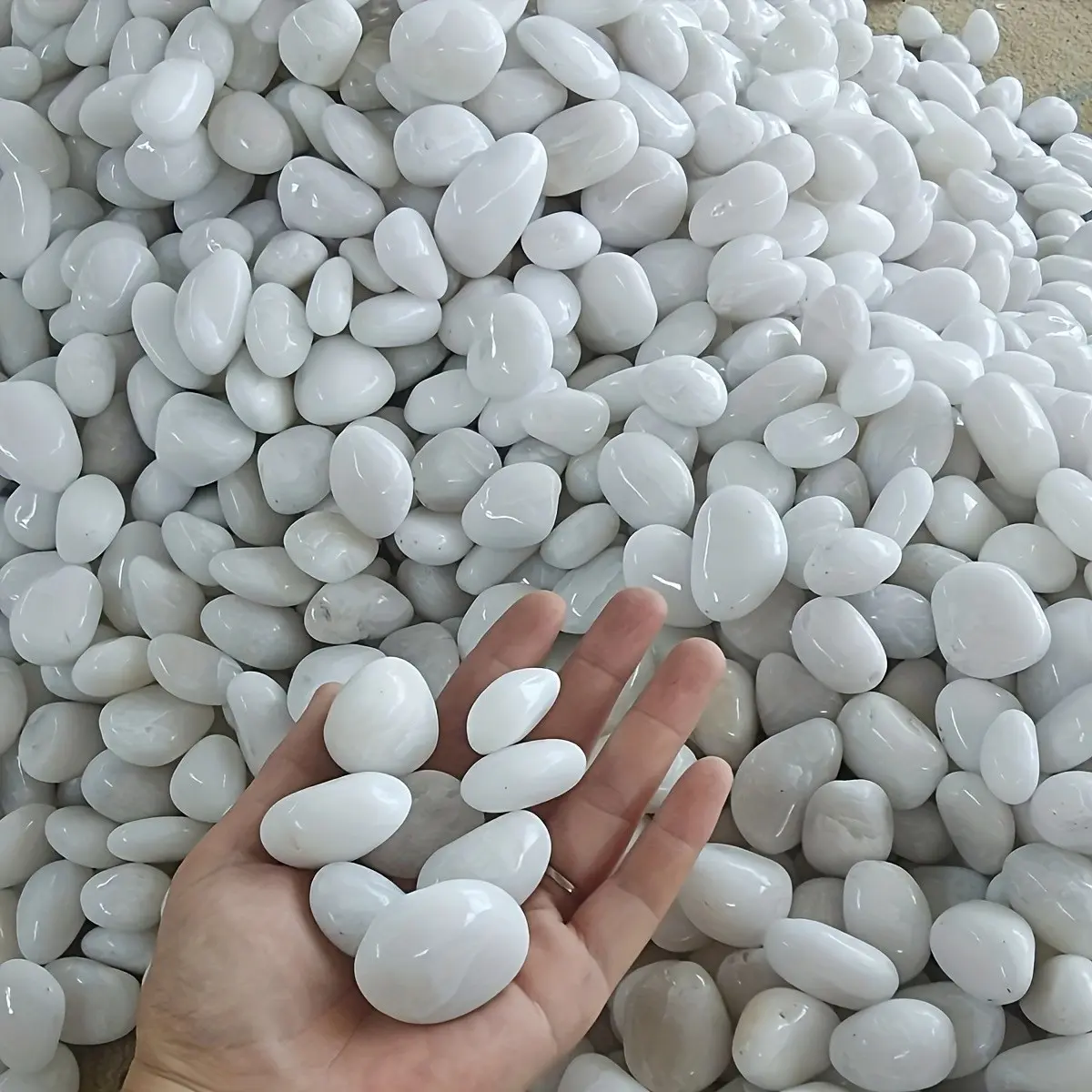 1050g/2050g(2.31/4.52 pounds) white river stones and polished pebbles -2.03-4.06cm natural highlight decorative stones for indoor plants, aquariums, garden landscapes, vase filling | DIY handicrafts, home decoration, indoor/outdoor use
