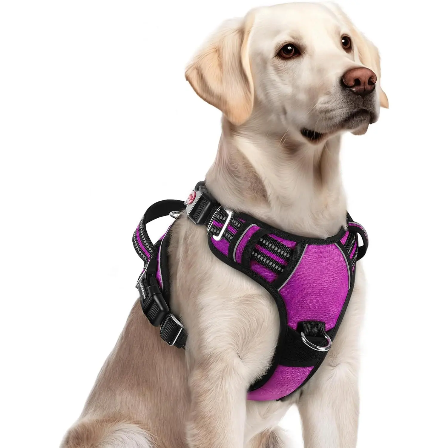 Upgraded No-Pull Dog Harness for Large Dogs, 3 Buckles Easy On & Off Soft Padded Pet Vest with Control Handle, Adjustable Reflective Harnesses for Jogging, 21.5"-27.0" Neck Girth/23.0"-34.4" Chest Girth, Purple, L