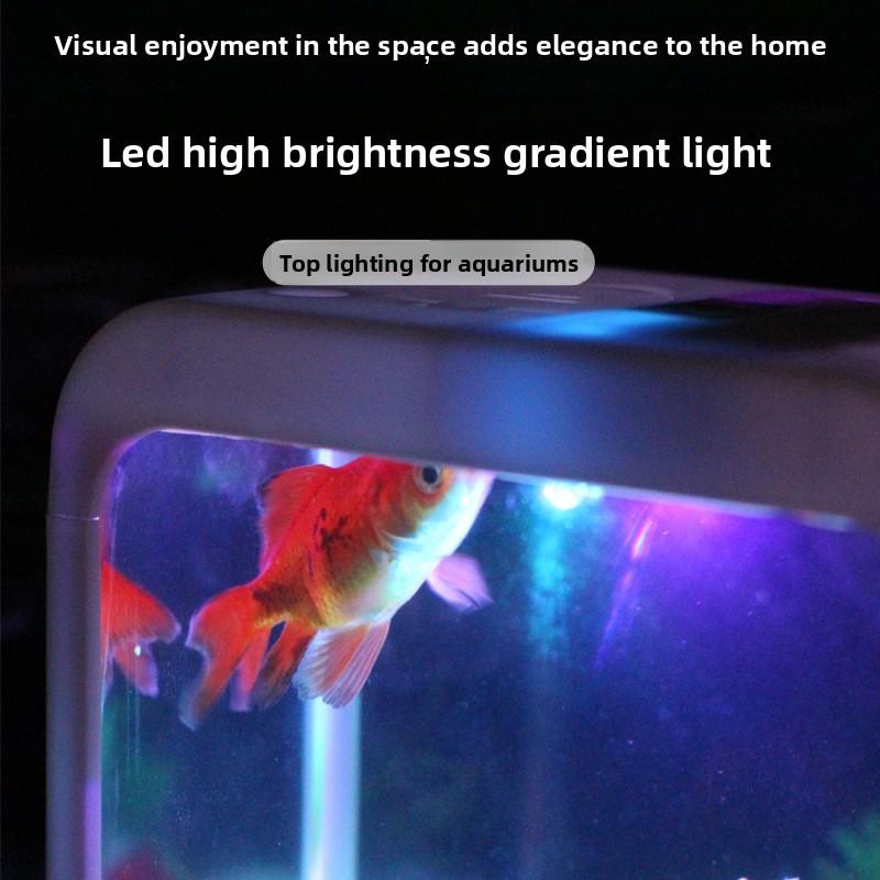 Small Fish Tank for Home Goldfish Betta Tank Acrylic Block Ecological Micro Landscape Mini Aquarium Tank