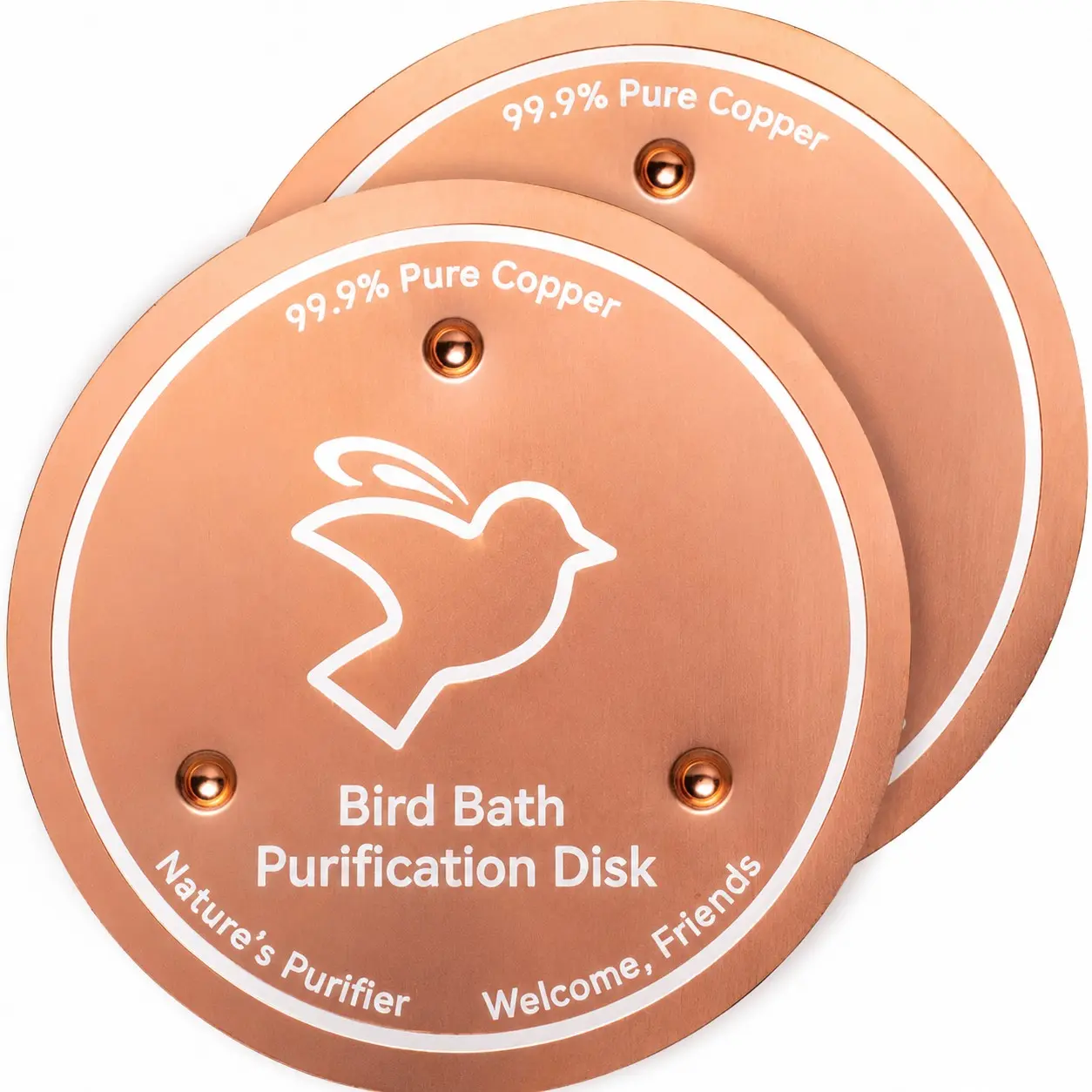 2-Pack Bird Bath Purification Discs, 99.99% Pure Copper Cleaner, Ideal for Outdoor Bird Baths, Solar Fountains, Concrete Pots, Bird Lover Gift