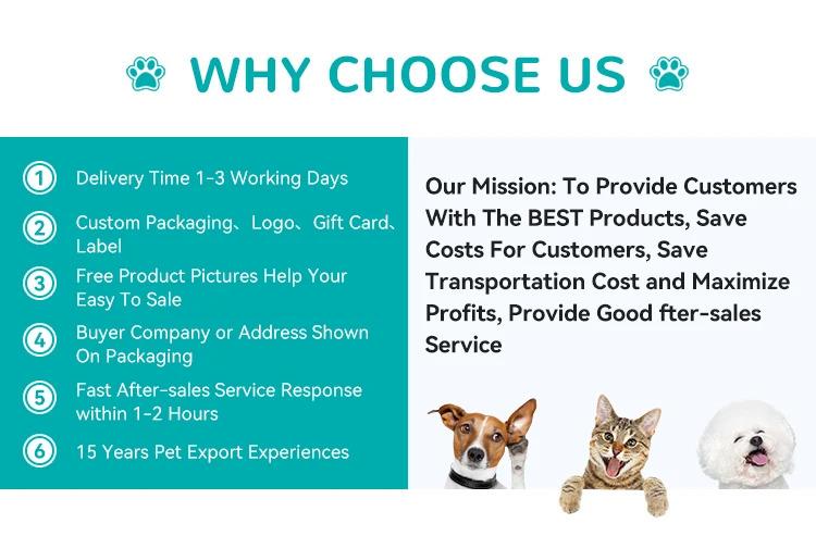 New Rubber Elastic Ball with Feathers Interactive Cat Toy for Chasing Biting Play Fun as Soccer Football Basketball Baseball Ball Pet Supplies