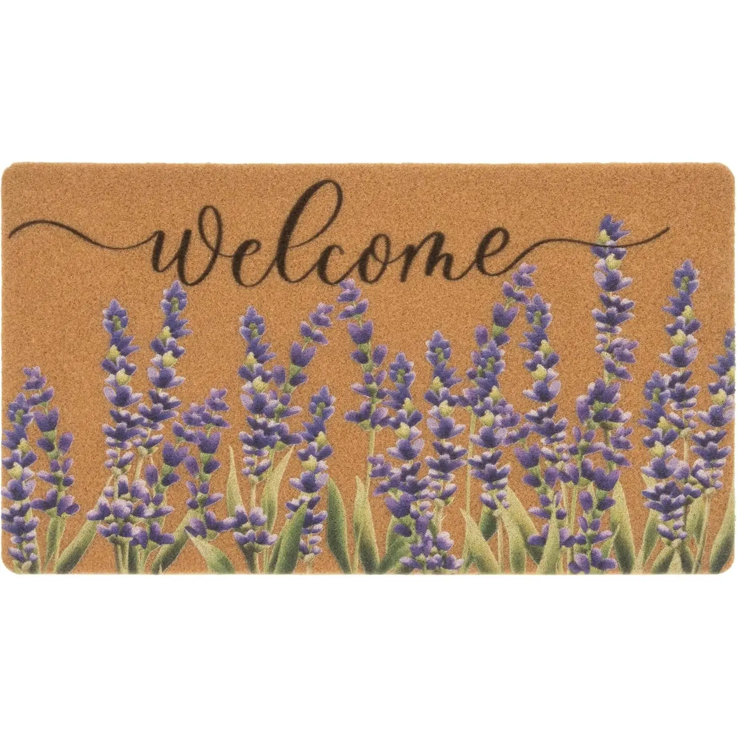Summer Spring Doormat Welcome-Door-Mats Holiday-Doormats 17X29 Inch
