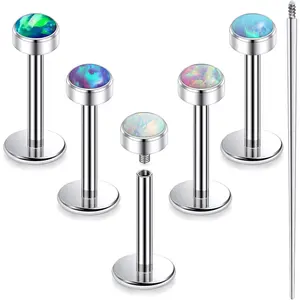 20G 18G 16G Astm F136 Titanium Internal Thread Flat  Earrings Nose Studs Tragus Helix Conch Cartilage Lobe Earrings Medusa Labret Snake Bite Monroe Lip Ring   For Women Men