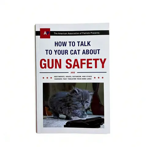 How to Talk About Gun Safety with Your Cat, Teach Children Various Dangers, Humorous Home Education, Satirical Novel, Teaching, Books