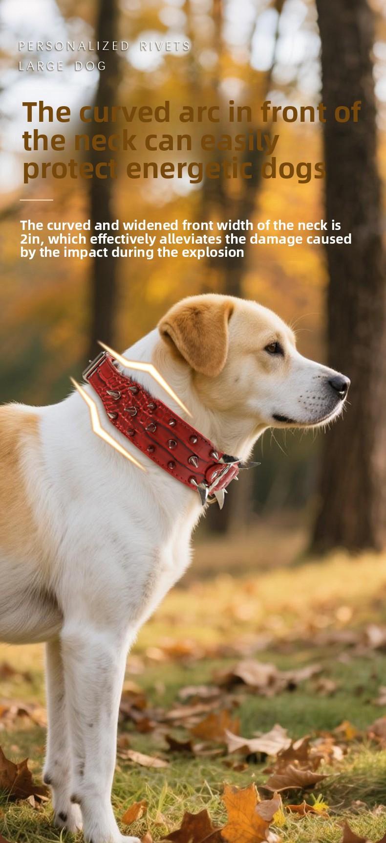 Wide Studded Dog Collar – Anti-Bite, Street Style, Heavy Duty & Tug Resistant