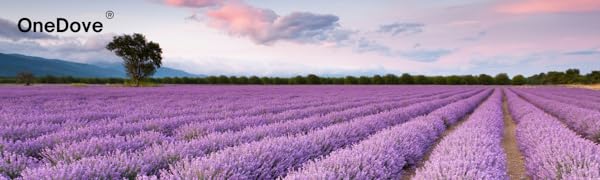 2 Pounds Lavender Buds Dried Flowers,100% Natural Dried Lavender Buds, Ultra Blue Grade (2 Pounds)