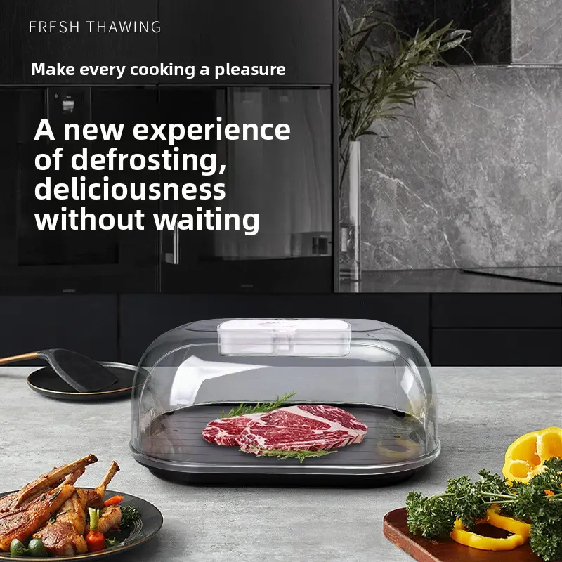 Kitchen household constant temperature defrosting device, defrosting meat and steak, defrosting heat conduction plate, rapid defrosting tray, food defroster