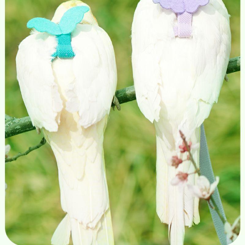 Adjustable Bird Harness Leash 2m Hand Rope Safe Escape Proof for Parrots Conures Cockatiels Outdoor Training Walking Pet Supplies