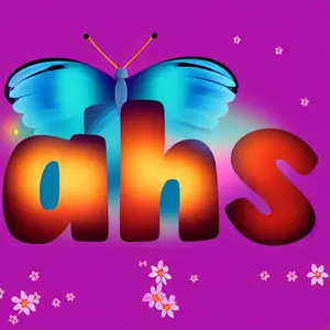 Ah Hua s Selection shop logo