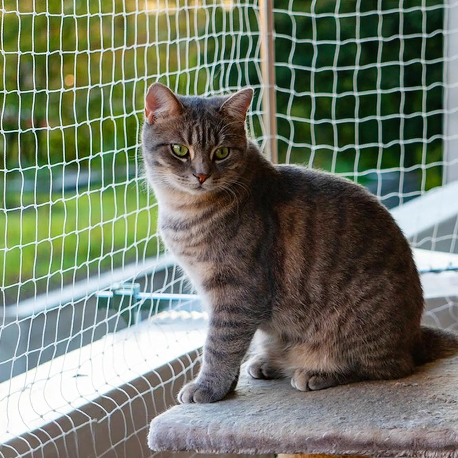 Transparent Nylon Anti Fall Cat Balcony Net Pet Mesh Fence for Balcony Window Stairs (10 * 33ft, White)