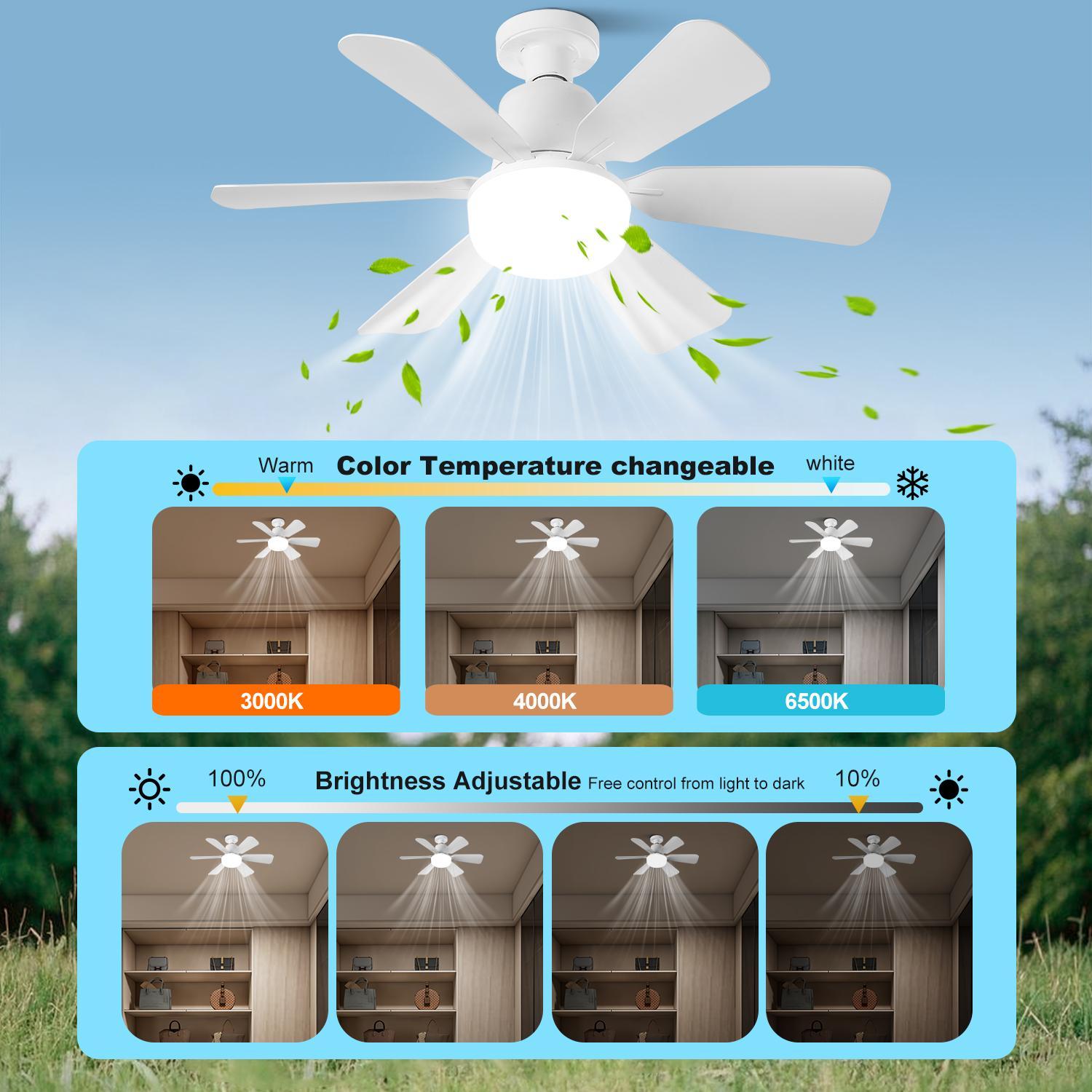 20.5 Inch Modern Smart Ceiling Fan Light, Remote Control, Adjustable Lighting Modes, Easy Installation for Living Room, Bedroom, Kitchen