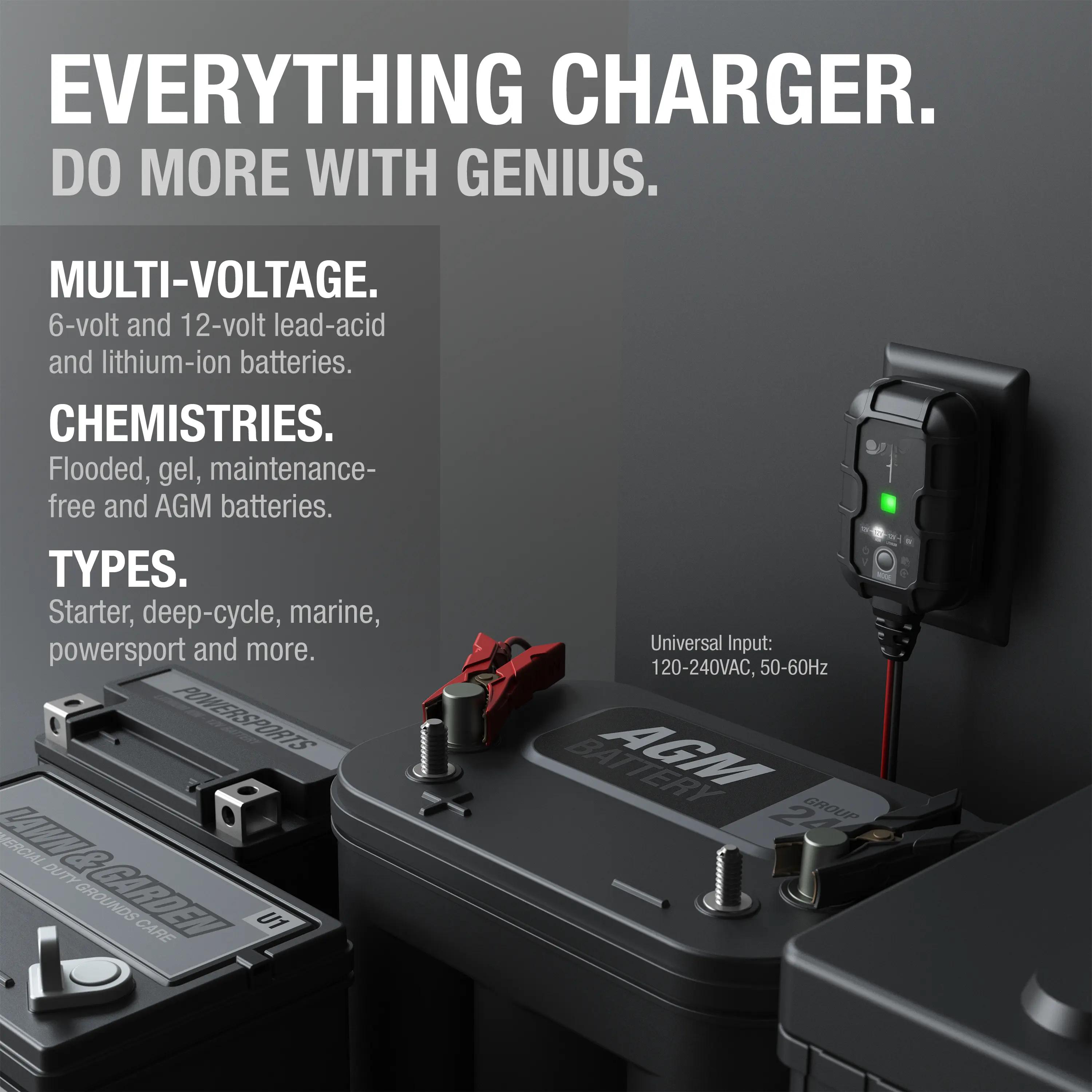 1A Smart Battery Charger, 6V and 12V, Battery Maintainer, Trickle Charger and Desulfator