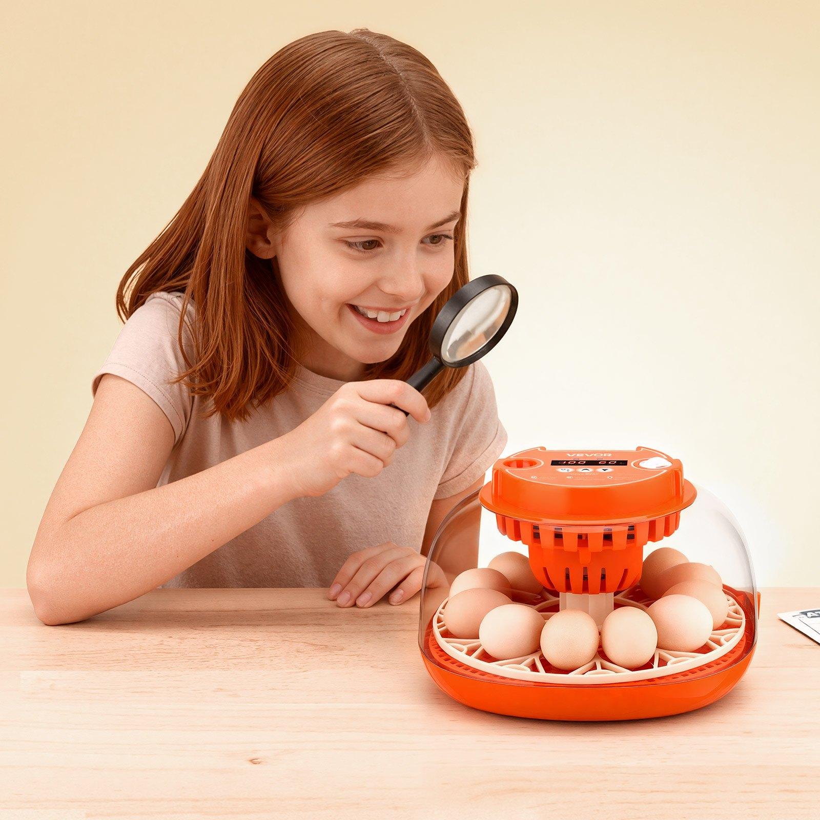 VEVOR 12 Egg Incubator, Automatic Egg Turner with LED Candler, Temperature & Humidity Control, 360 °   View Clear Window, Poultry Eggs Incubator for Home Farm, Hatching Chicks Ducks Goose Quail