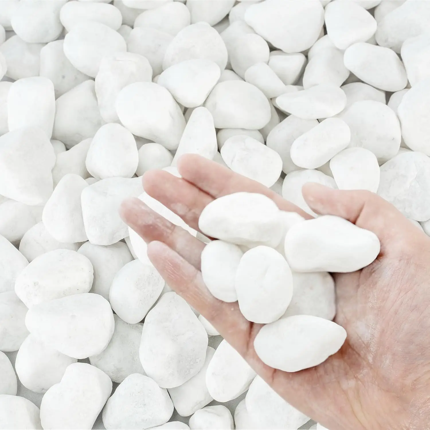White Rocks for , 1-2 Inch  for Indoor , 10 lbs River Rocks Decorative White Stones, Ideal for Fish , Vases, Crafting,  Decor and Garden Landscaping Rocks