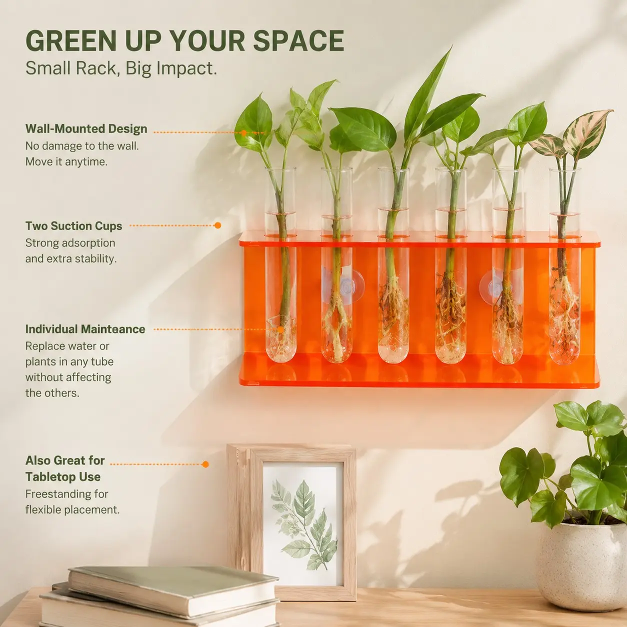 6-Pocket Hydroponic Plant Rack, Supports 6 Different Plants, Clear Root Growth Observation, Individual Maintenance, Ideal for Home Gardening, Hydroponic Plant Holders