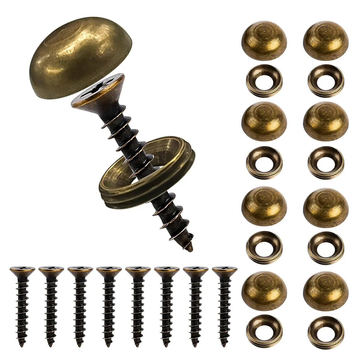 8 count Brass Decorative Screws with Caps, Self Tapping Screws for Cabinet Doors, Windows, Mirror &  Furniture Fixing (15mm)