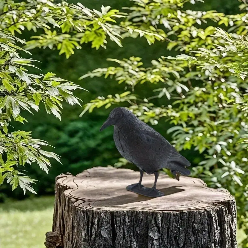 Crow Sculpture, Lifelike 3D Design with Prey Lure, Halloween Decoration, Outdoor Garden Use, Bird Deterrent, Perfect for Festive Settings