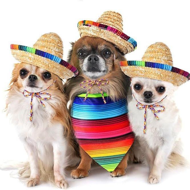 Mexican colorful rope pet hats for lizards, cats, and dogs, summer straw hats, Cinco de Mayo holiday costumes