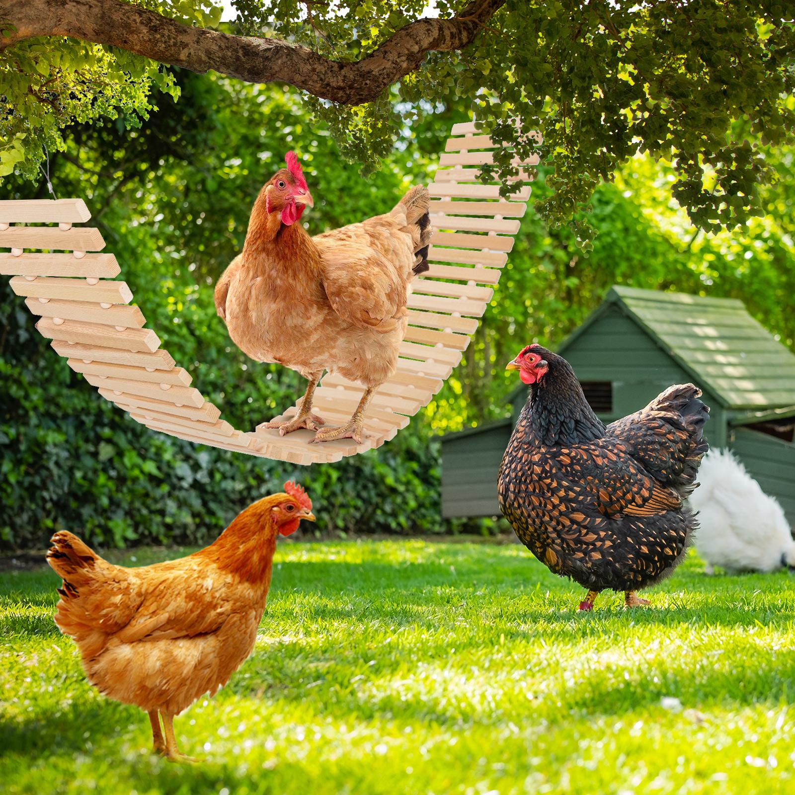 Outside Chicken Coop Toy Chicken Toys for Hens Natural Wood Chicken Ladder outdoor Chicken Swing Chicken Perch for Birds Poultry Rooster Chicks