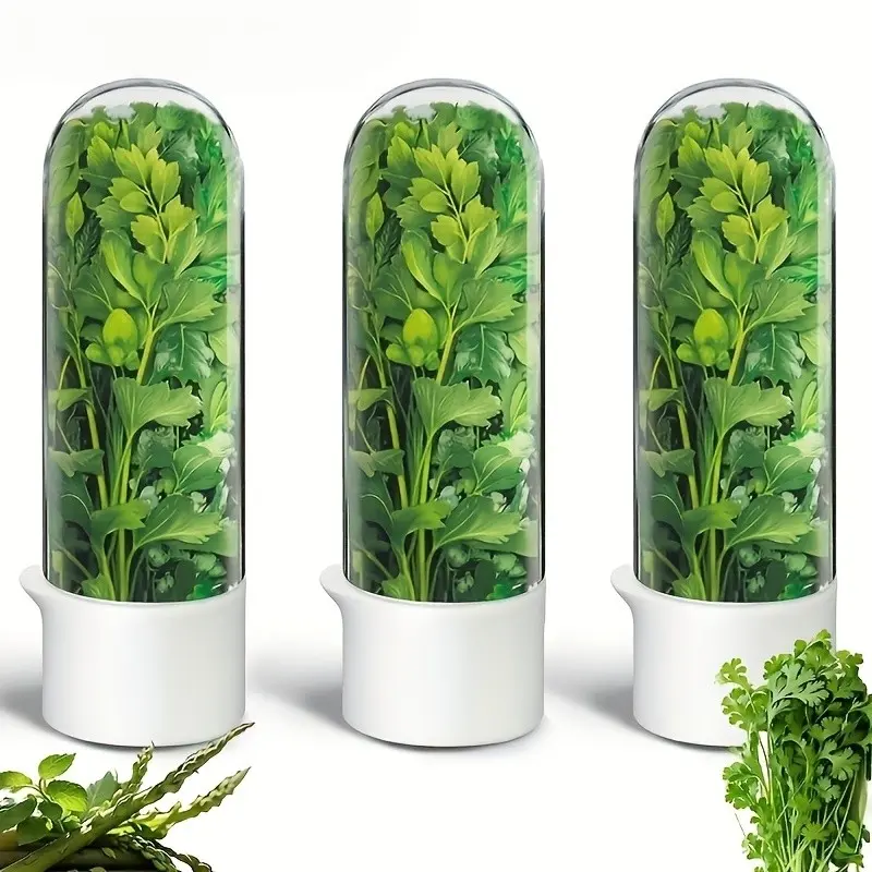 Large Refrigerated Herb Keeper Box, Freshness Preservation Container, Ideal for Cilantro, Parsley, Asparagus, Mint, Leaf Vegetables