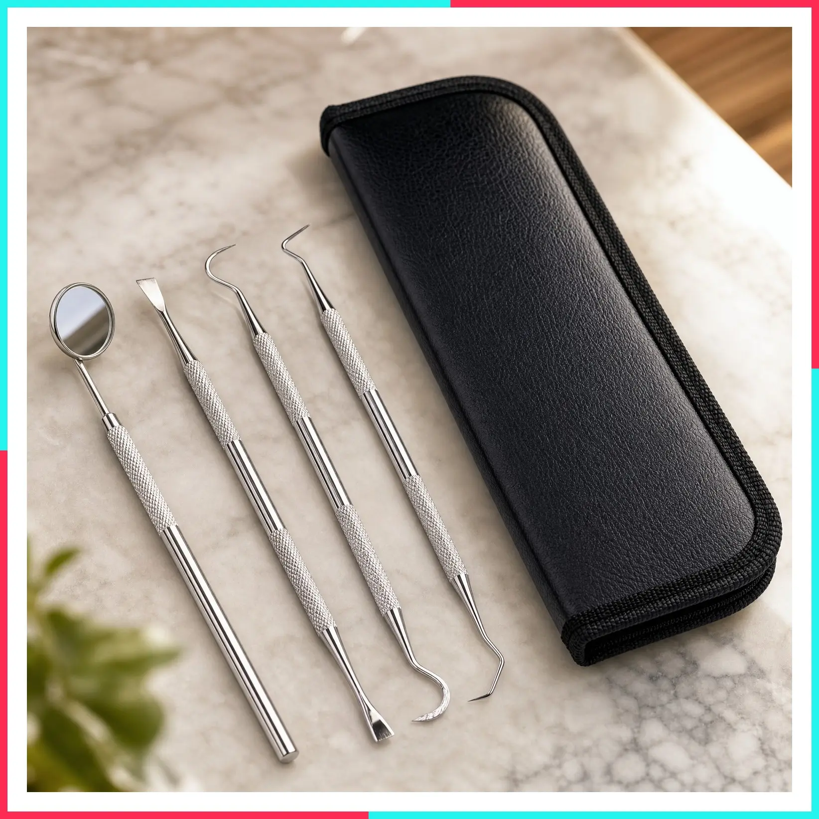 Plaque Remover Teeth Cleaning Tool, 4 Pcs Dental Care Kit with Tooth Filling Repair Set, Stainless Steel Dental Tools for Men, Women, Kids & Pet Care