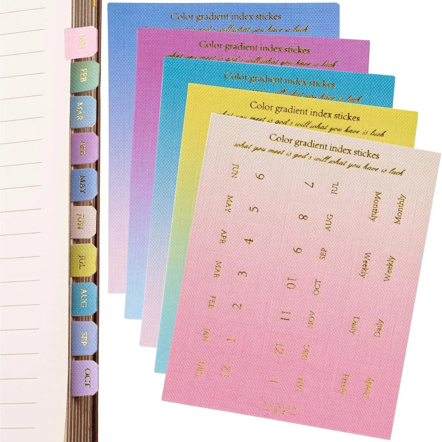 180 count Planner Monthly Tabs, 10 Sheets Self-Adhesive Index Tabs Stickers, Sticky Page Markers Labels for Document Books Notebooks Project Binders Office- 5 Colors