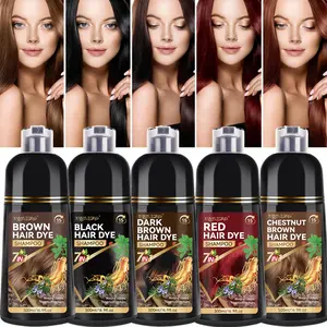 500ML Family Pack Dye Shampoo, 7-In-1 Hair Care, Covers, Adds Ginseng Extract, Gentle Non-Irritating, Glossy, Soft, Five Colors Available