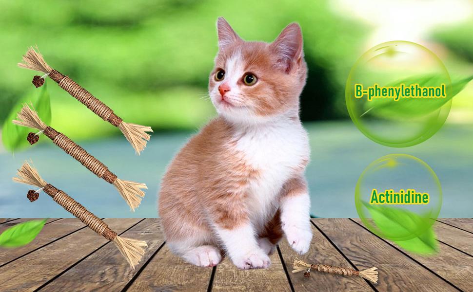 6 pcs Catnip Toys| Silvervine for Cats: Cute Cat & Kitten Toys for Indoor Cats Interactive| Cat & Kitten Teething Chew Toys for Aggressive Chewers| Silvervine Sticks Cat Dental Toy (3PCS)