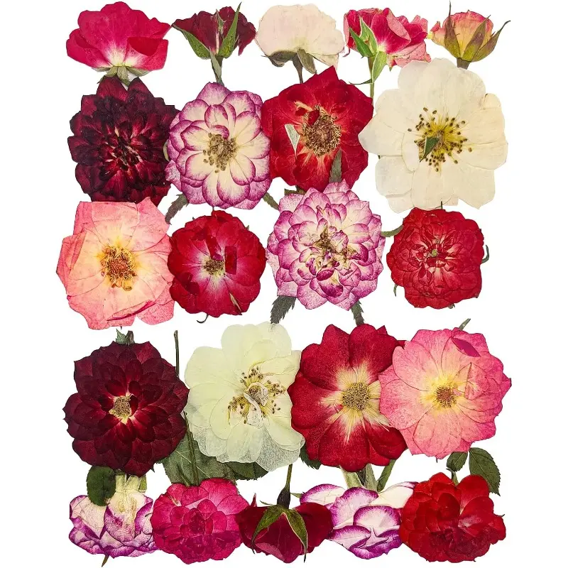 Rose Pressed Flowers for Crafts, Real Natural Dry Pressed Flowers for Resin Molds Nails Art Candle Making Phone Cases DIY Art Crafts Jewelry Making