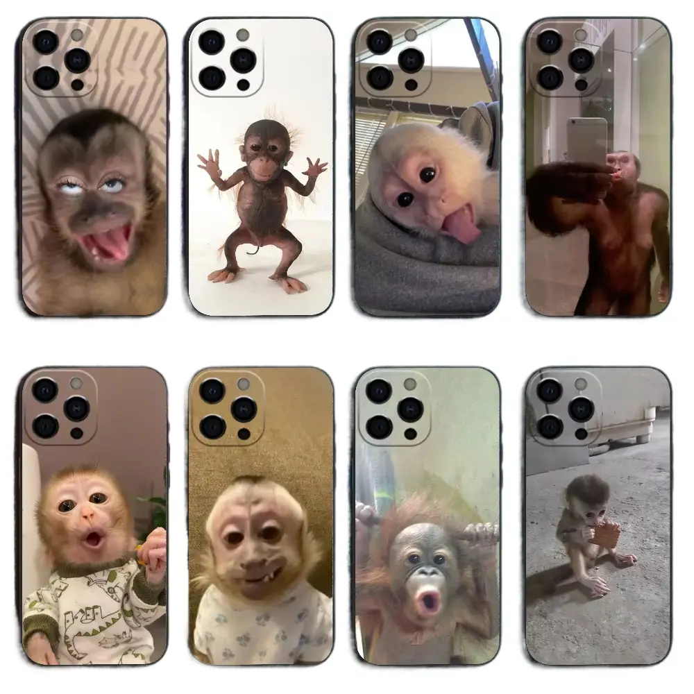 Funny Monkey Memes Phone Case - High-Quality Print, Shockproof Protective Cover for iPhone & Galaxy Multi-Model (iPhone 17 Pro Max/Air, 16 Plus, 15-11; Samsung S23-S26 Plus/Ultra) - Ideal Gift for Birthday, Christmas, Fits Various Sizes