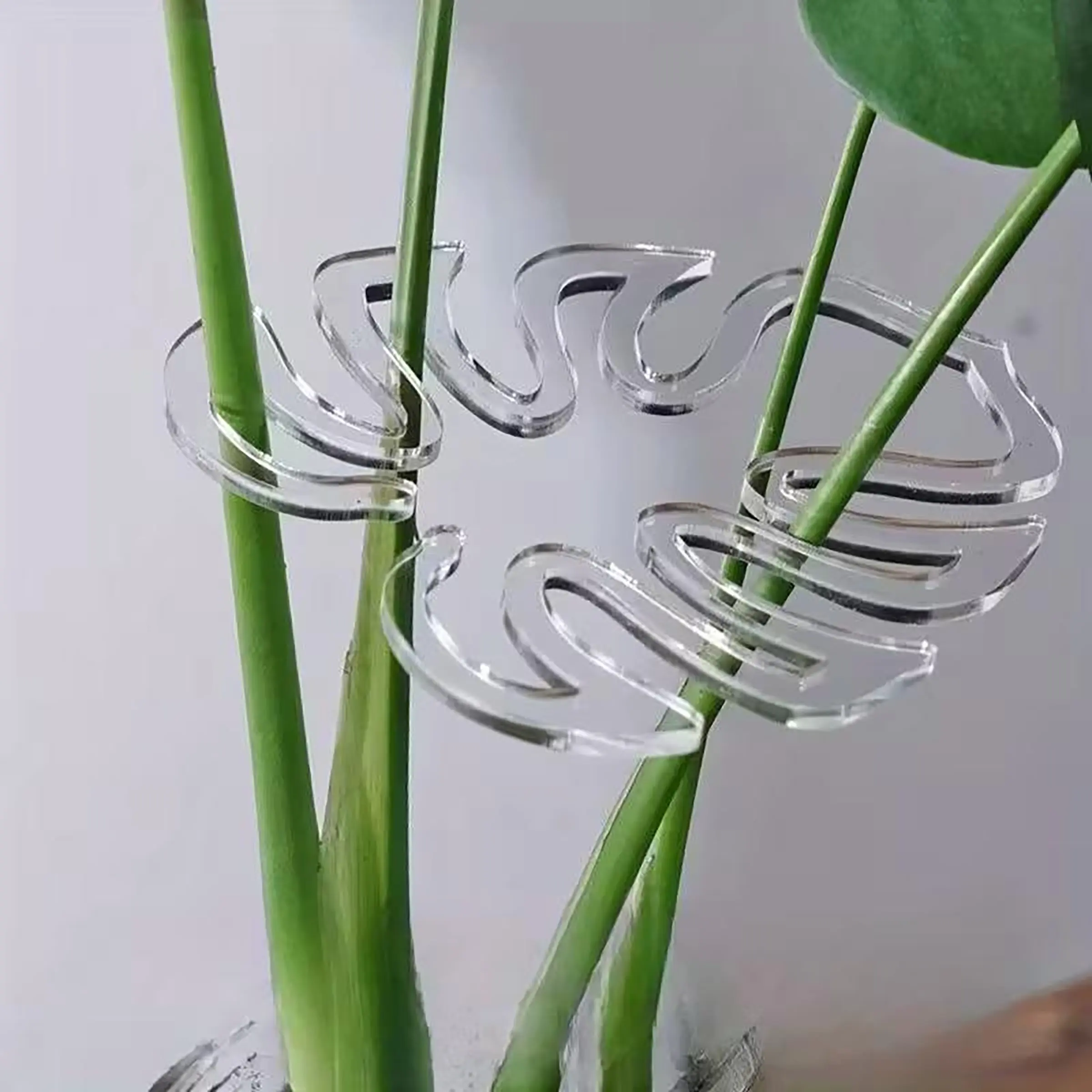 10-Pack Clear Flexible Plant Support Clips - Adjustable Garden Clamps with Non-Slip Grip, for Indoor/Outdoor, Greenhouse, Bonsai, Ferns, Peace Lilies - Durable Lightweight Plastic Plant Training Clips, Indoor Plant Care, Modern Clip Design