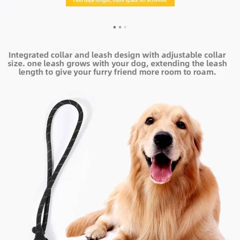 Dog Leash Reflective P Rope, Anti-Burst Training Harness for Small Medium Large Dogs, Pet Safety Walking Strap, Prevents Escaping