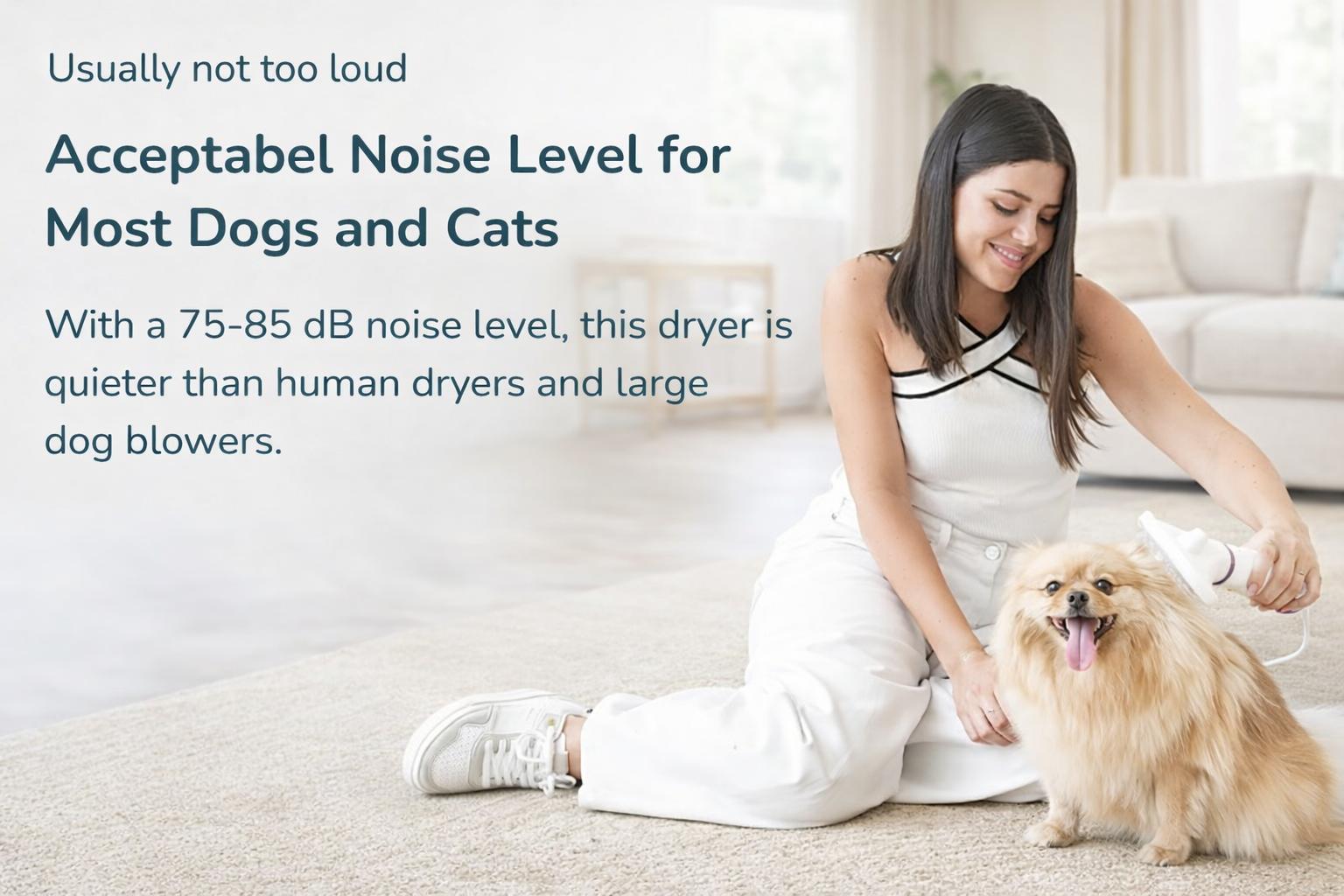 4-in-1 Dog Grooming Dryer, 2-in-1 Pet Hair Dryer & Brush with Self-Cleaning Function, Portable Dog Grooming Tool for Home Use, Ideal Gift for Pet Lovers