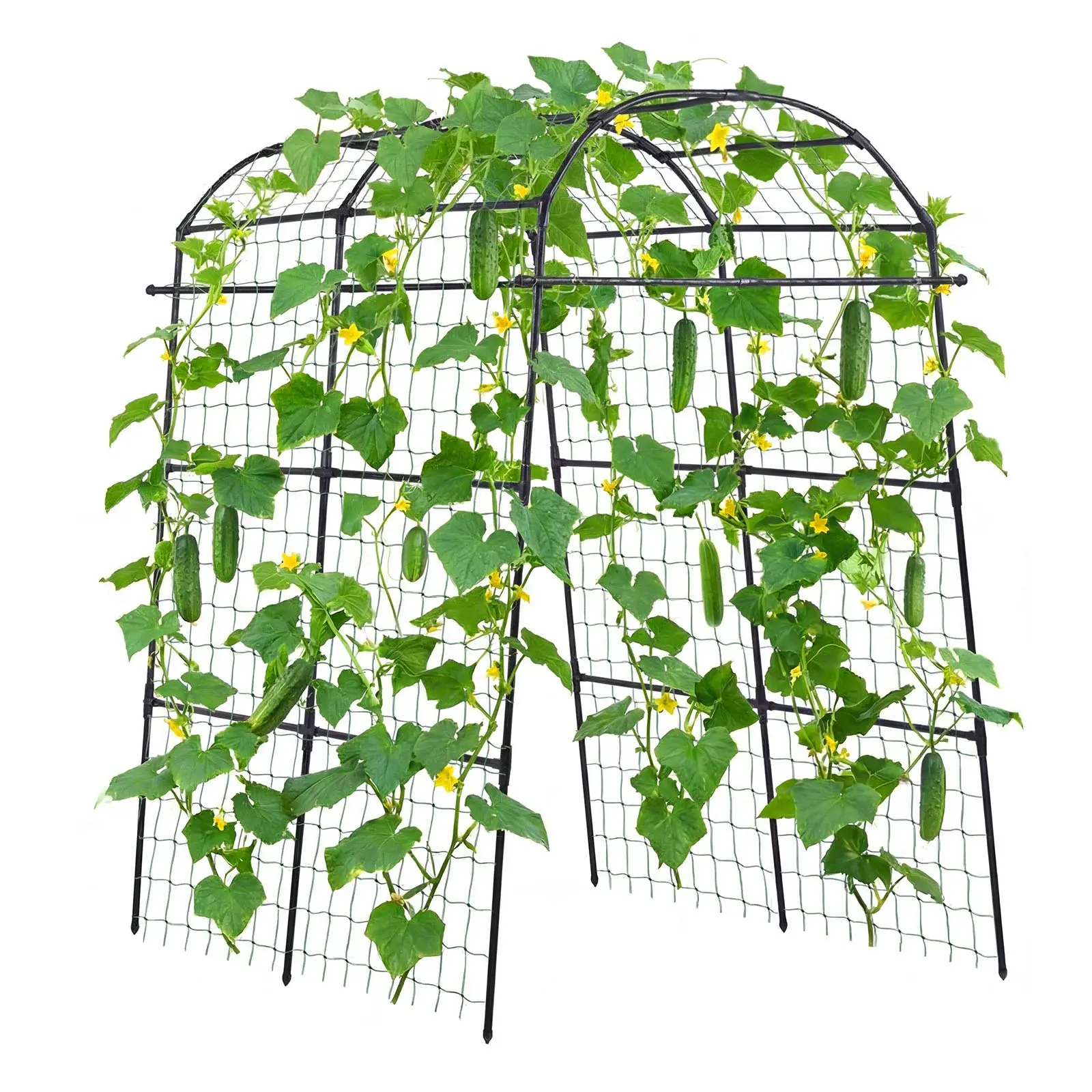 VEVOR Cucumber Trellis, U-Shape Garden Trellises for Raised Bed, Metal Arch Plant Support for Vine, Climbing Plants Outdoor, Peas, Beans, Zucchini, Tomato, Squash, Flower (70.87 x 44.09 x 82.99 in)