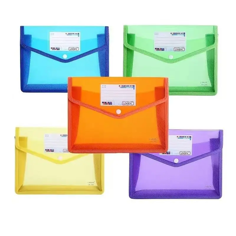 5-Pack Expanding File Folders with Transparent Envelopes, Snap Closure, Large Capacity, Assorted Colors, Fits Letter/a4 Size