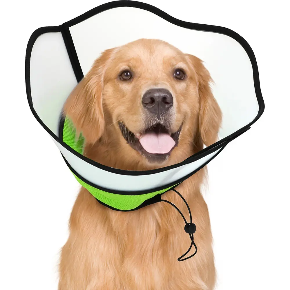 Elizabethan Collar Thickened Extended Dog Post-Op Anti-Licking Anti-Grooming Neck Ring, Pet Care Beauty Protection Collar