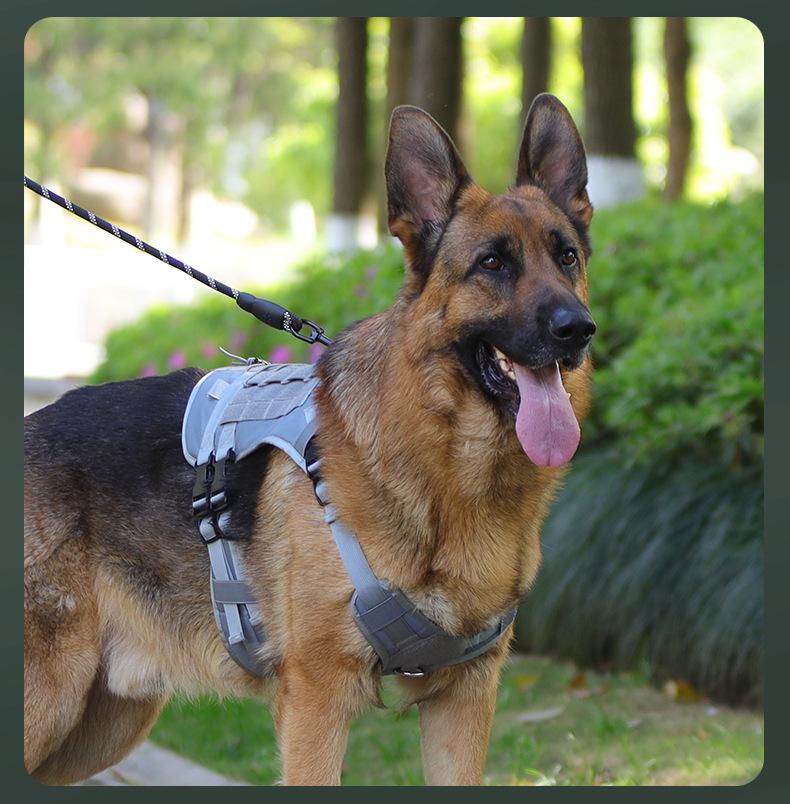 Tactical Dog Harness – Universal Harness, Walking Harness & Safety Harnesses for Small to Large Dogs, Durable Reflective, Easy to Control, No Pull Adjustable Pet Harness, Pet Supplies