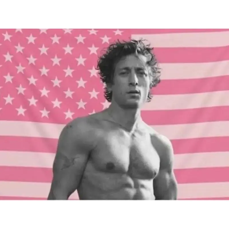 Jeremy Allen White Flag, Pink Aesthetic Wall Flag, Shameless Shirtless Flag, Actor Fan Room Decor hot actor wall art tv show tapestry