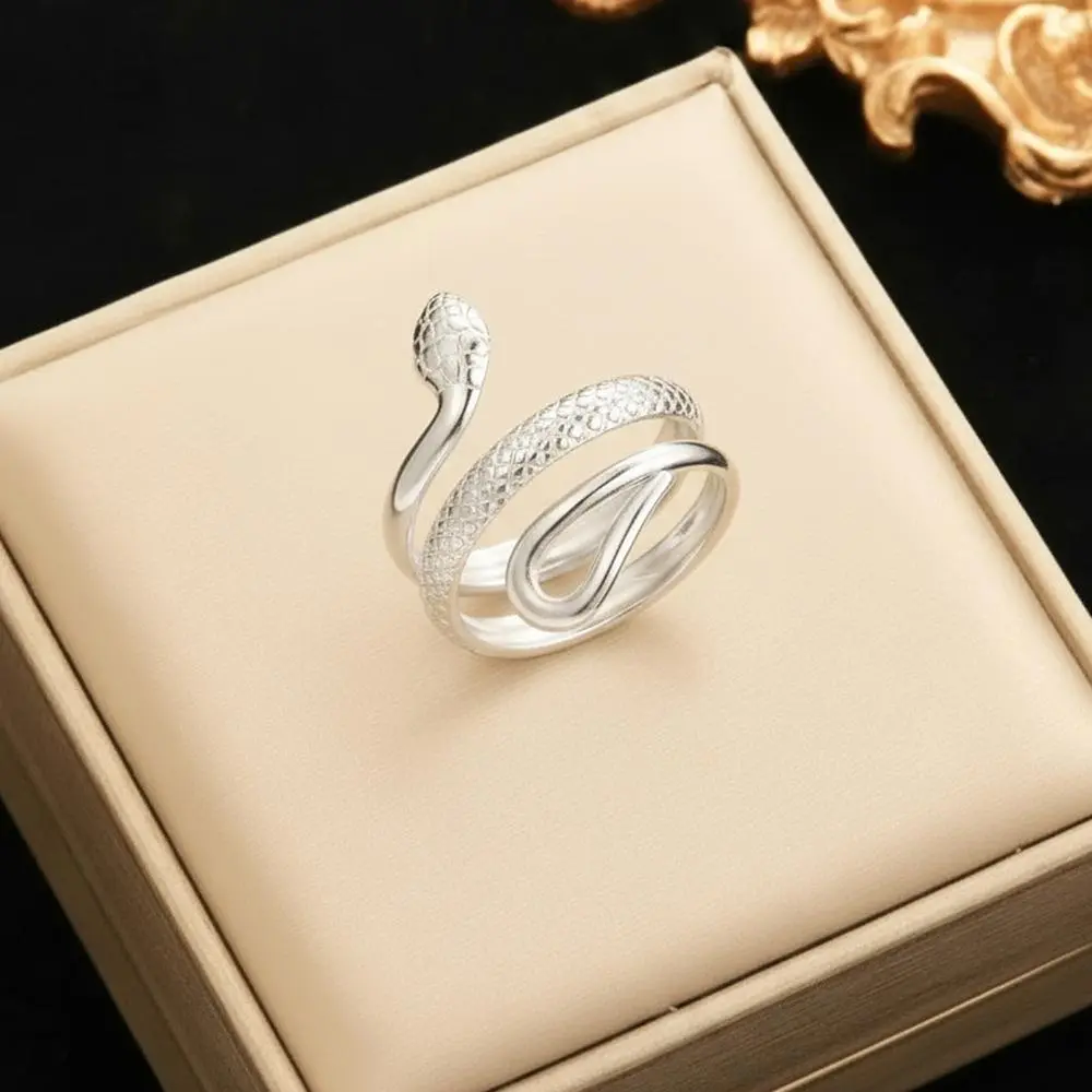 Unisex Silvery Ouroboros Snake-Shaped Stainless Steel Round Open Ring - Retro 3D Design, Resists Fading, Metal Coated, Casual Wear Costume Jewelry Accessory